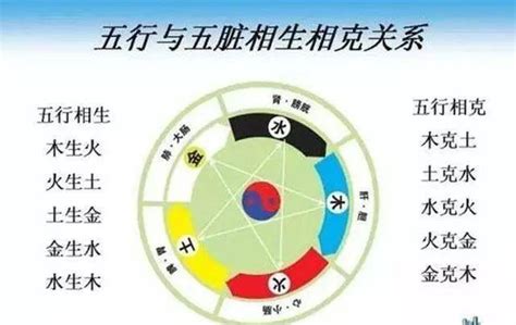 什么克木|五行中火克木吗